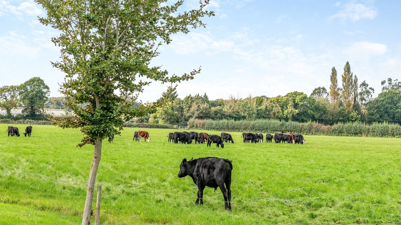 Photo of Outdoor in Wimborne