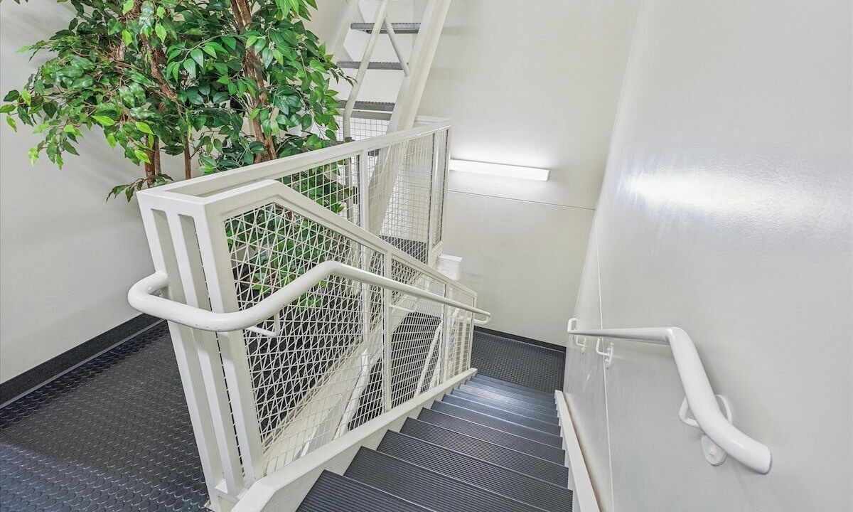 Photo of Others in Belmont