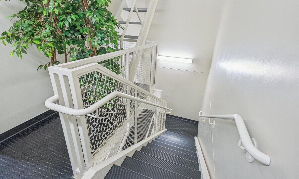 Photo of Others in Belmont