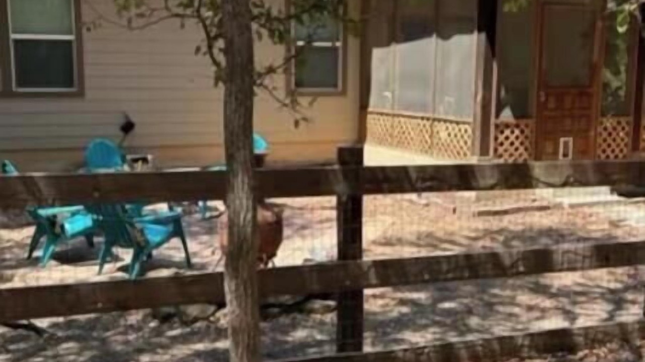 Photo of Patio Balcony in Bastrop