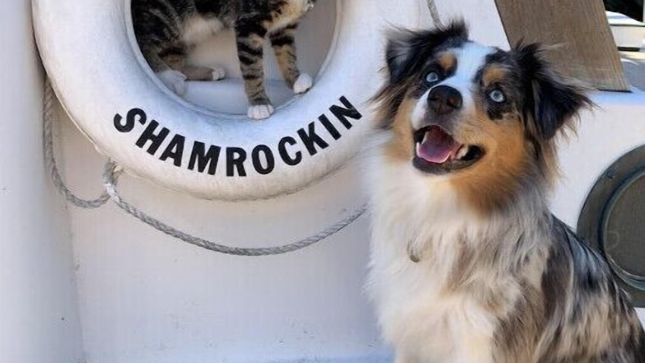 Photo of Others in Gig Harbor