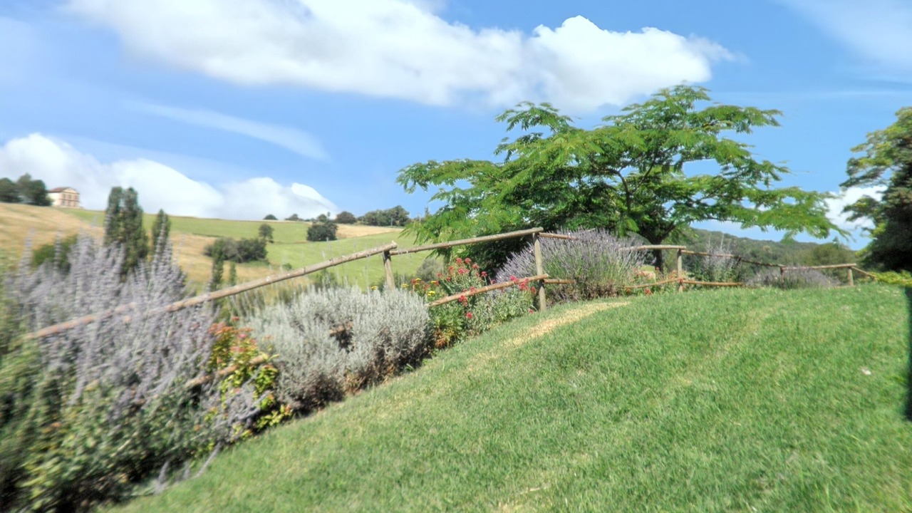 Photo of Outdoor in Molieres
