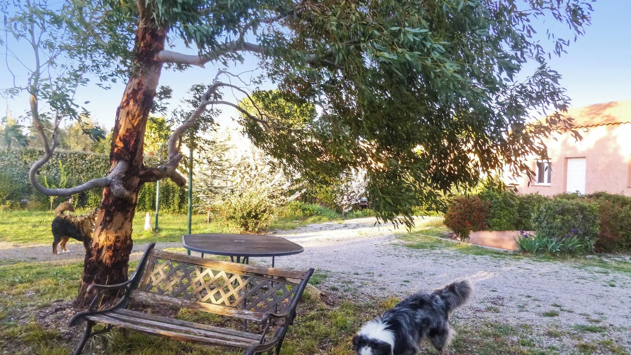 Photo of Outdoor in Castelnou