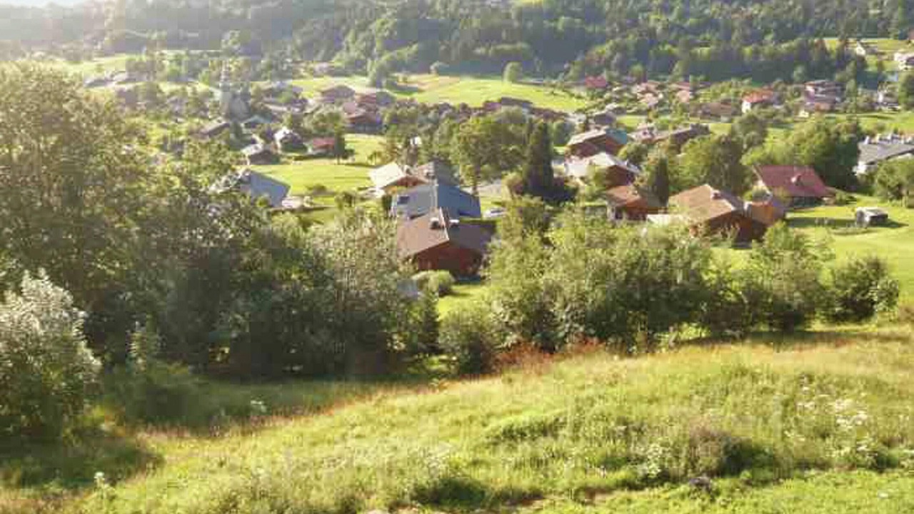 Photo of Others in Cordon