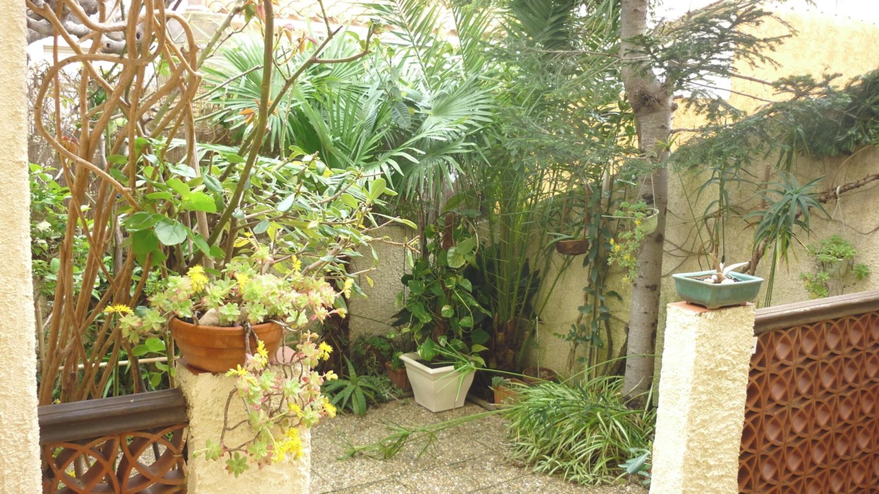 Photo of Outdoor in Sainte-Marie-la-Mer