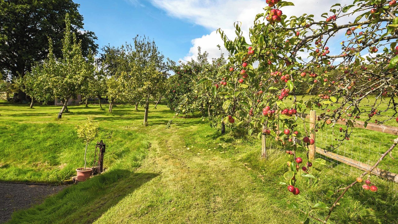 Photo of Outdoor in Church Stretton