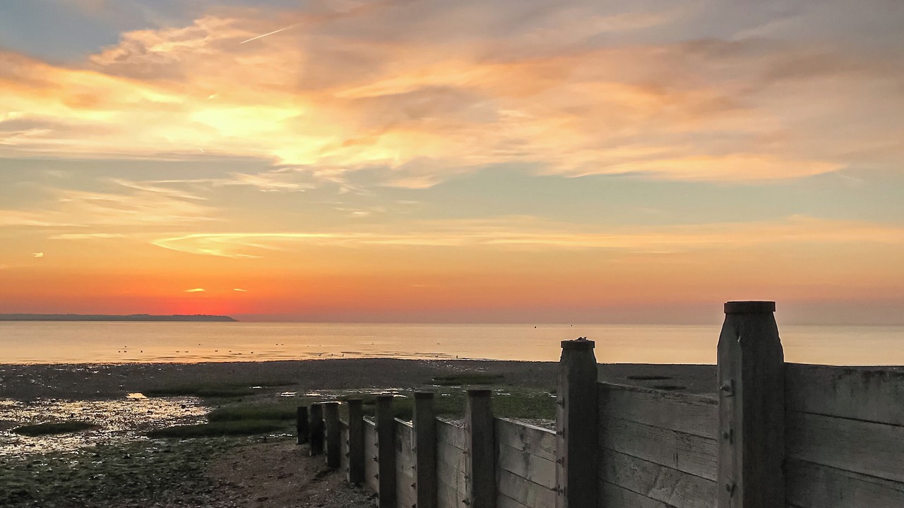 Photo of Others in Canterbury