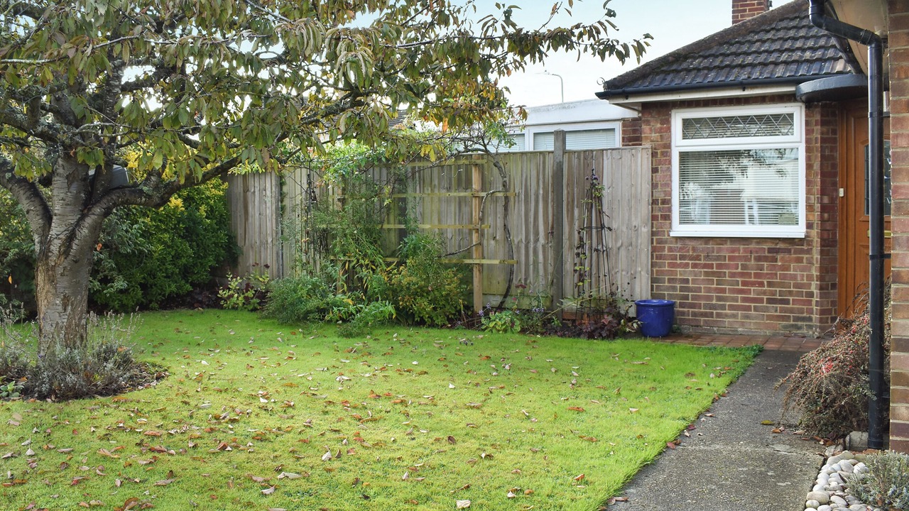 Photo of Outdoor in Canterbury