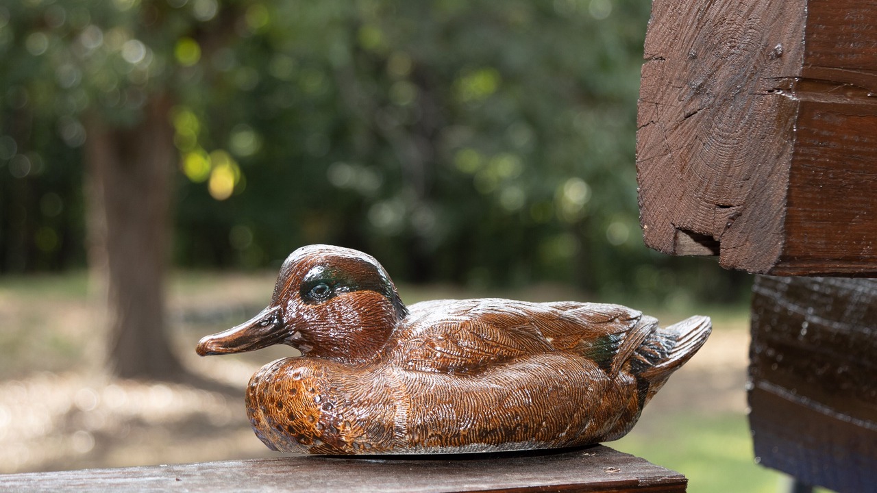 Photo of Others in Oxford