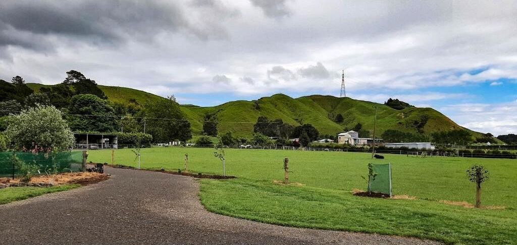 Photo of Outdoor in Tararua Forest Park