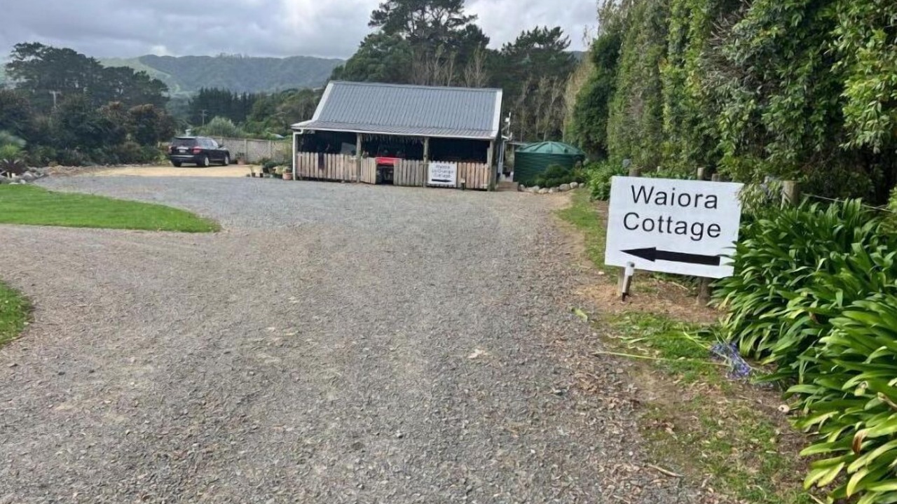 Photo of Outdoor in Tararua Forest Park
