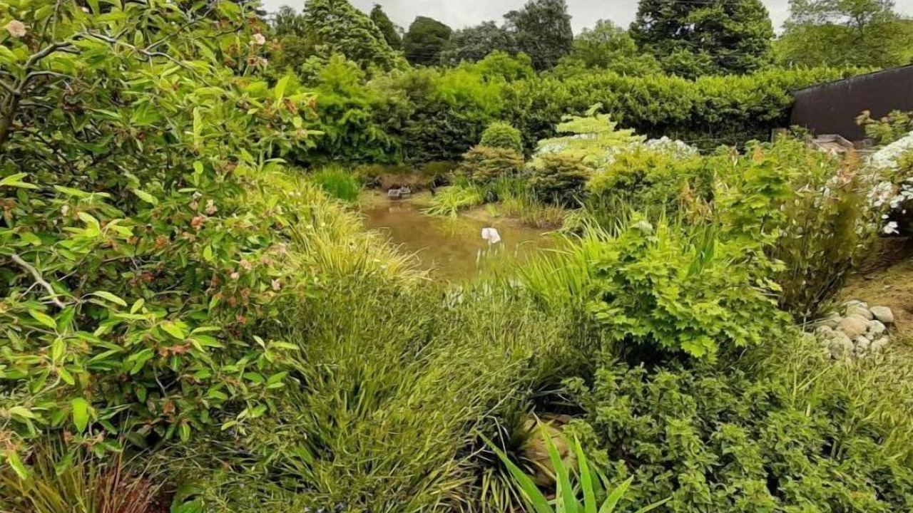 Photo of Outdoor in Tararua Forest Park