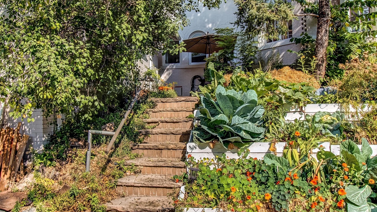 Photo of Outdoor in Capitol Hill