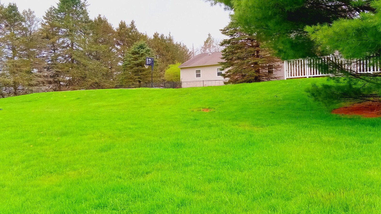 Photo of Others in Liberty