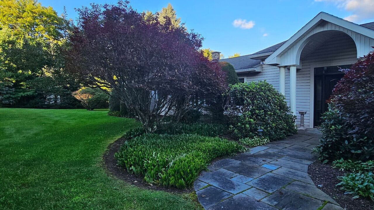 Photo of Others in Liberty