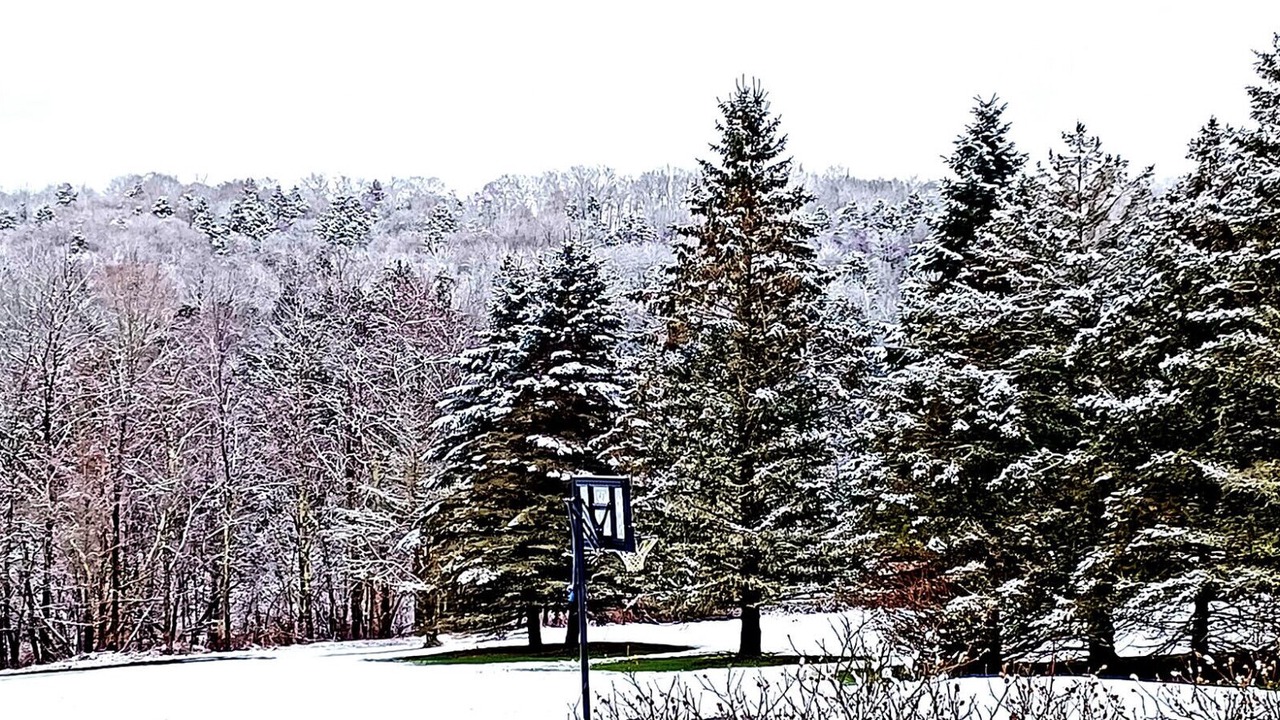 Photo of Others in Liberty