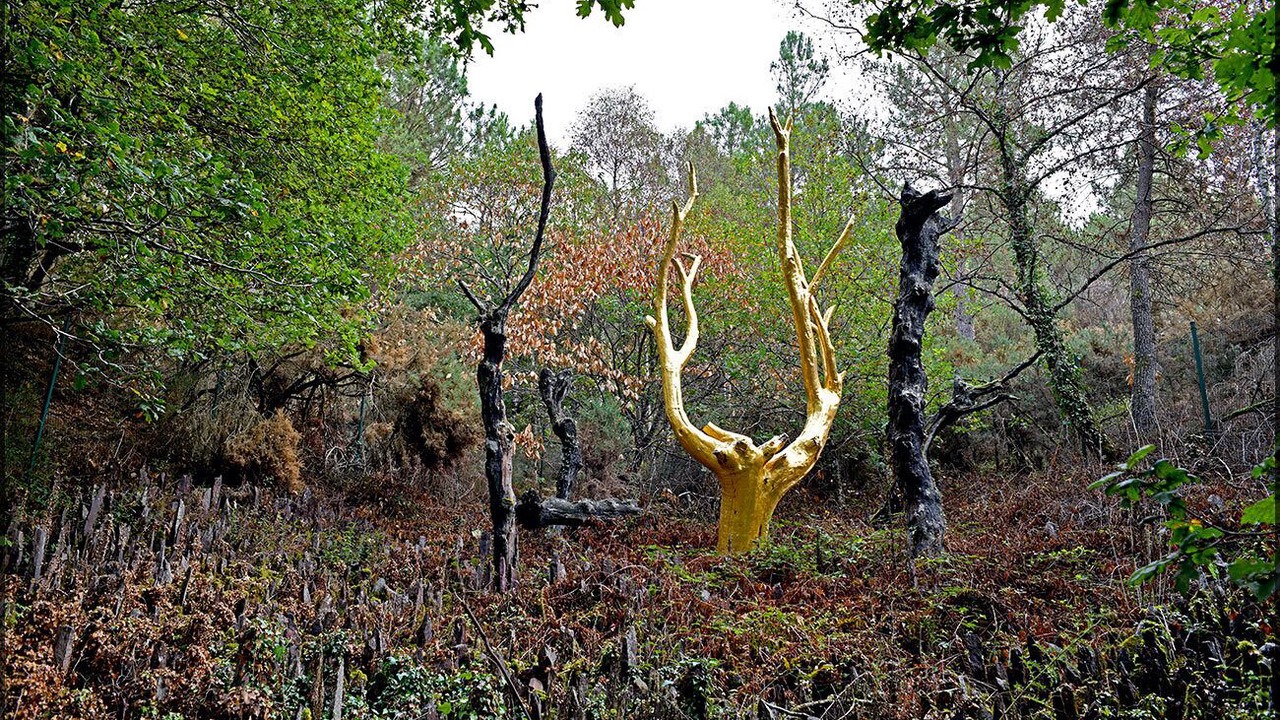 Photo of Outdoor in Saint-Maugan