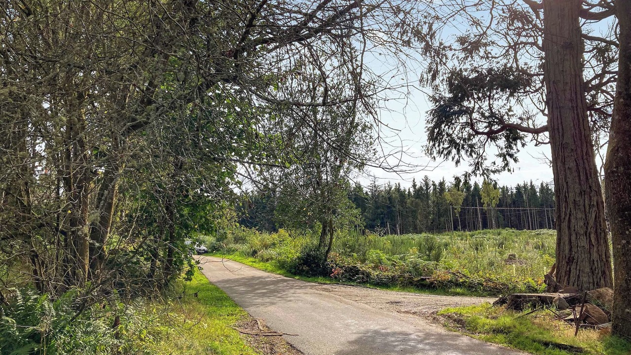 Photo of Others in Banchory