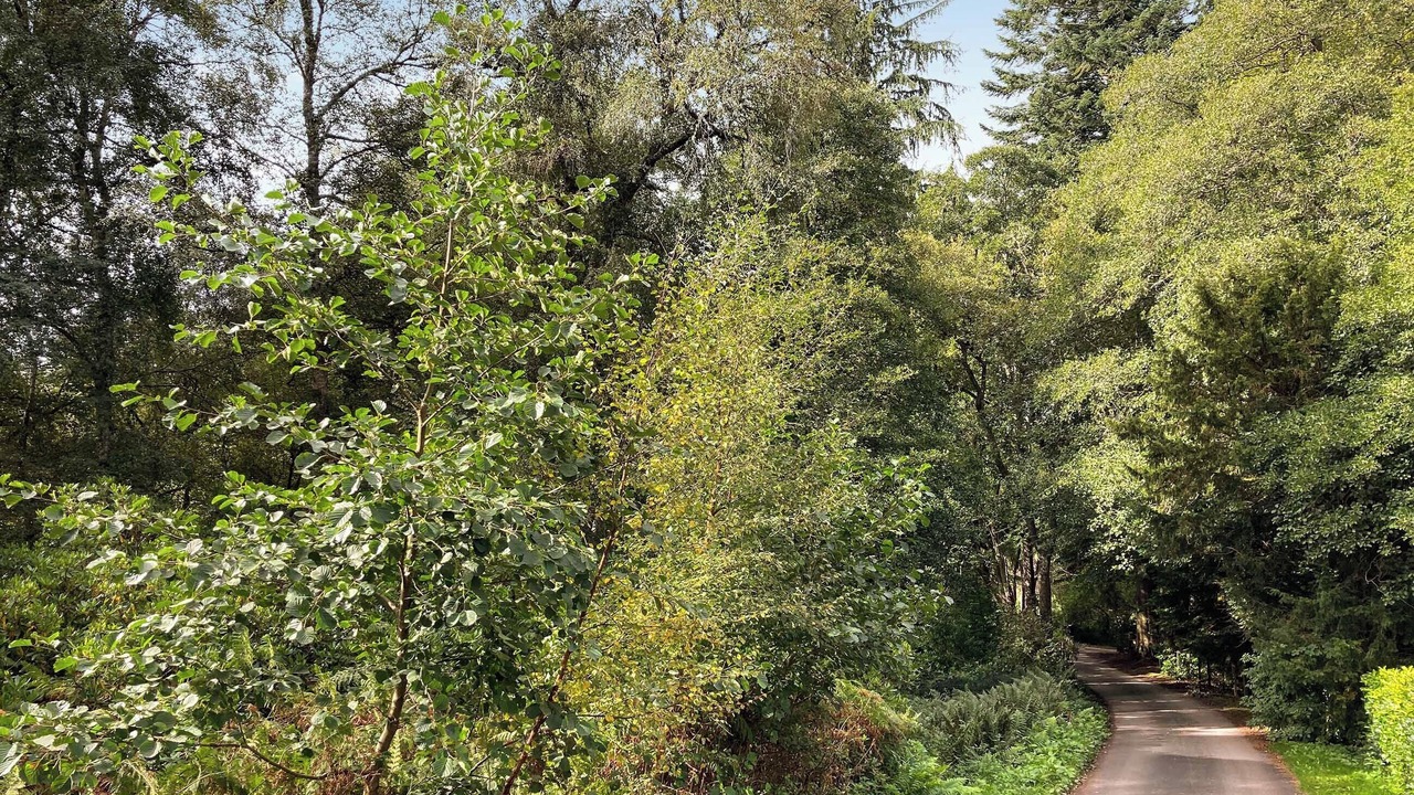 Photo of Others in Banchory