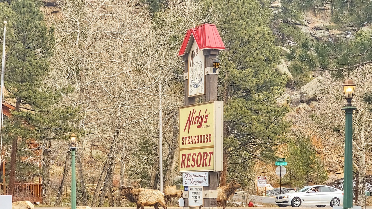 Photo of Outdoor in Estes Park