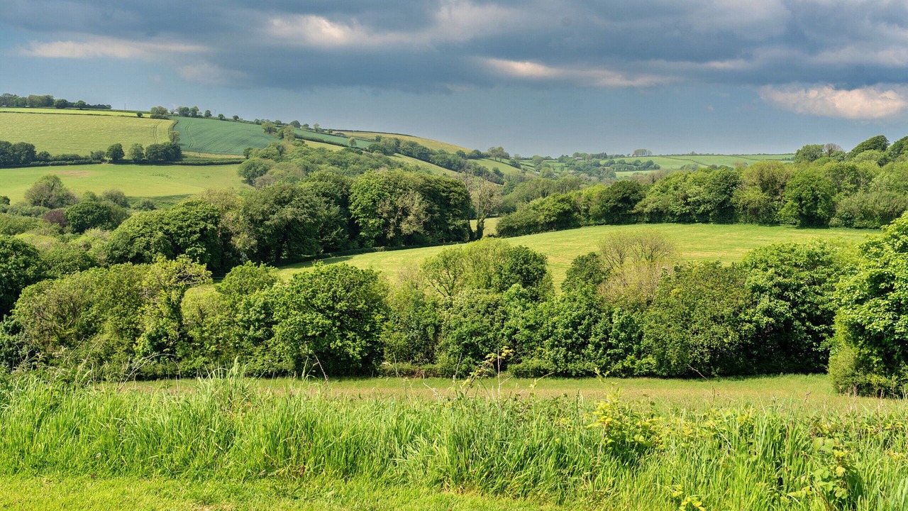 Photo of Others in Liskeard