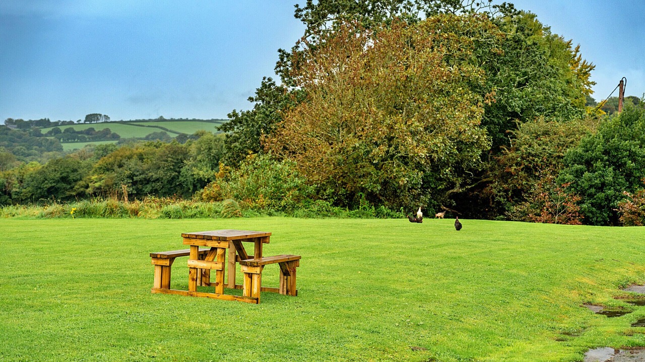 Photo of Outdoor in Liskeard