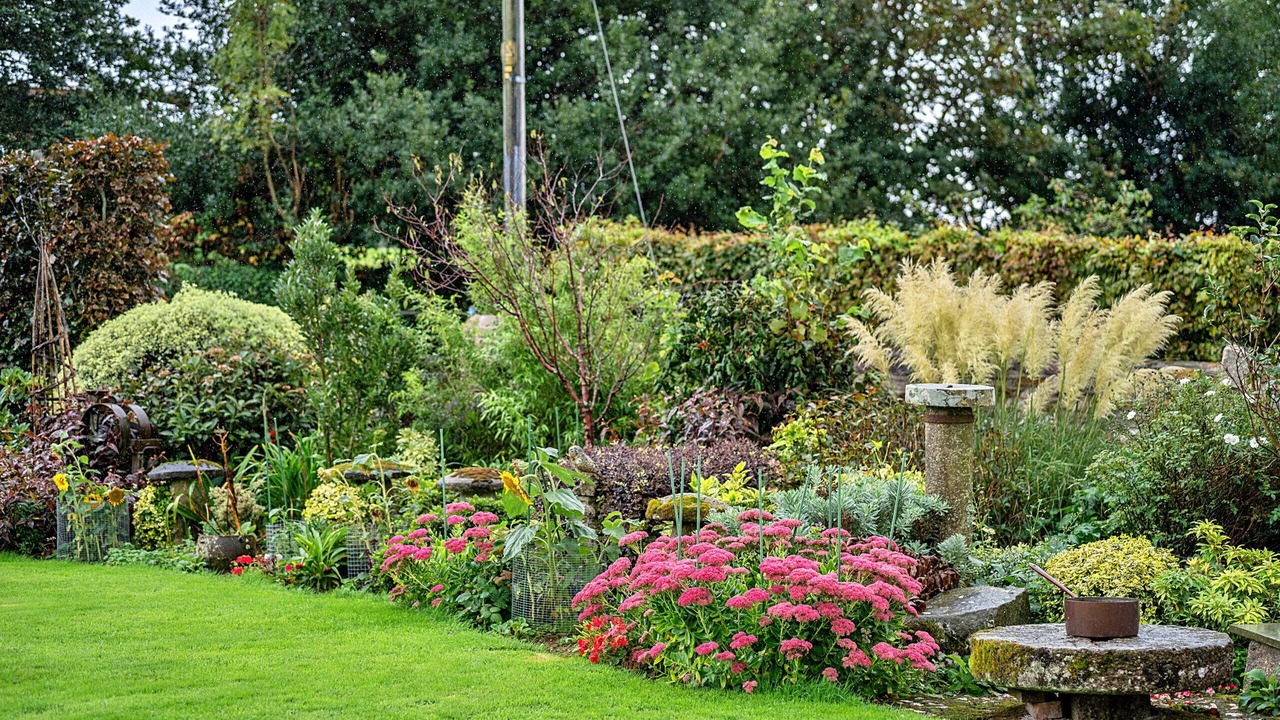 Photo of Outdoor in Liskeard