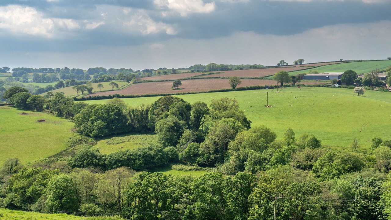 Photo of Others in Liskeard