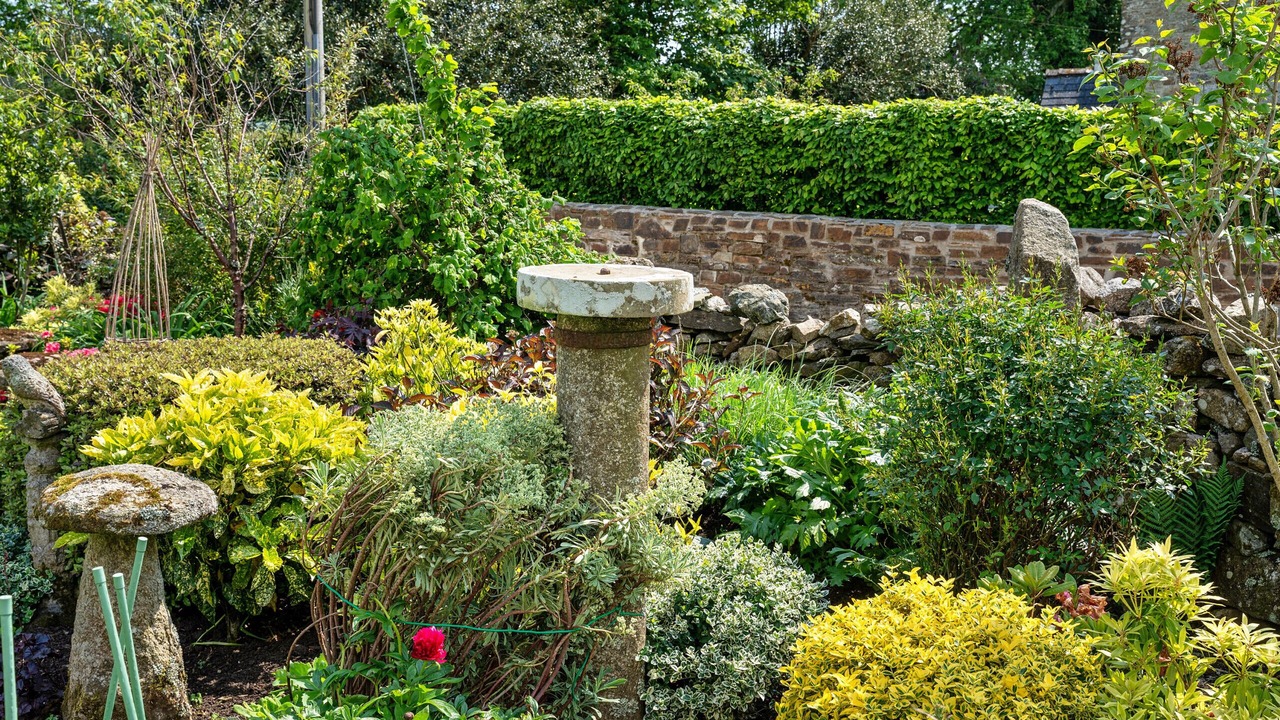 Photo of Outdoor in Liskeard