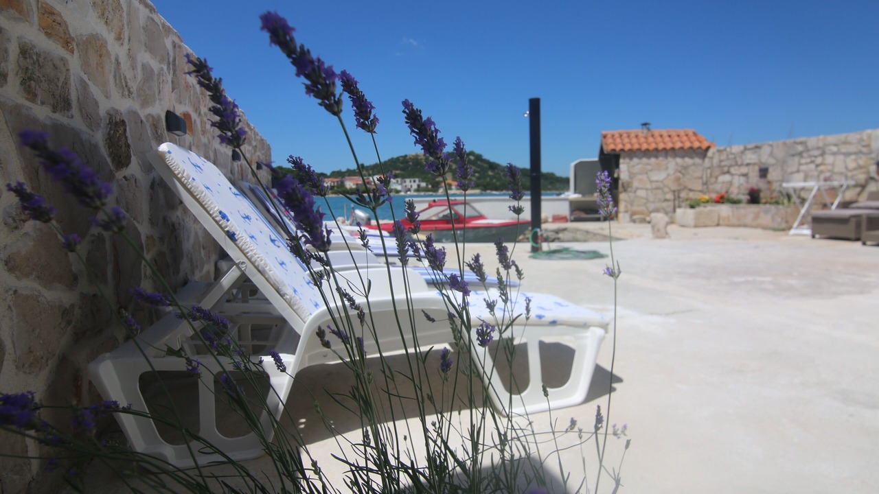 Photo of Outdoor in Betina