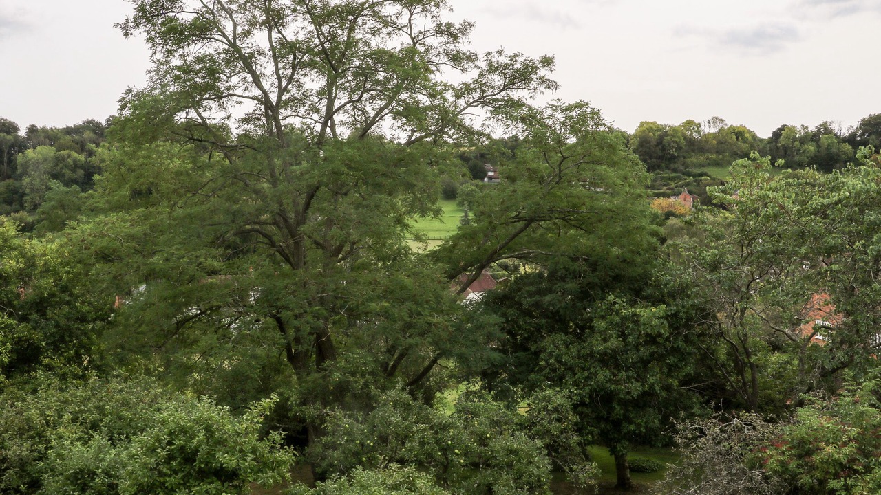 Photo of Others in Waterlooville