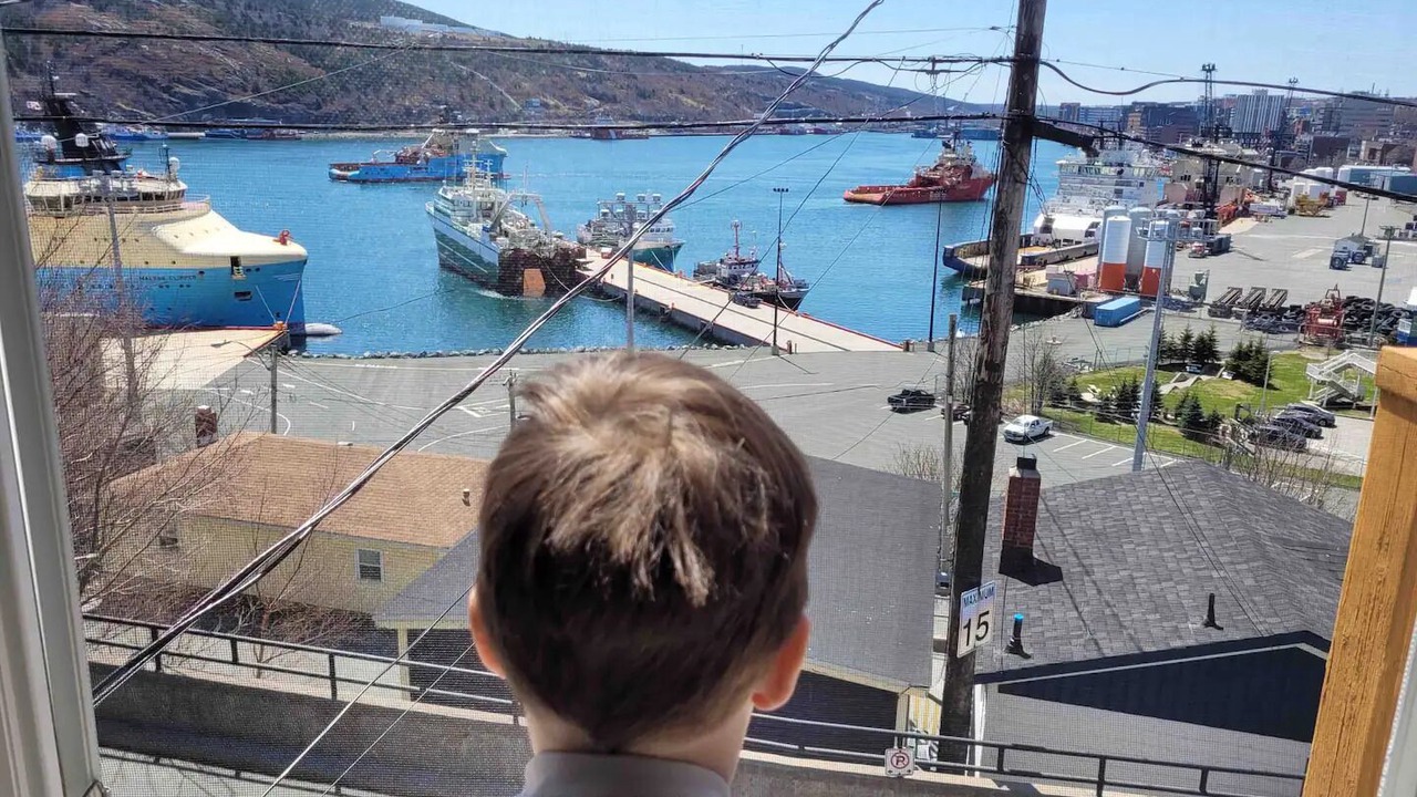 Photo of Others in Downtown St. John's