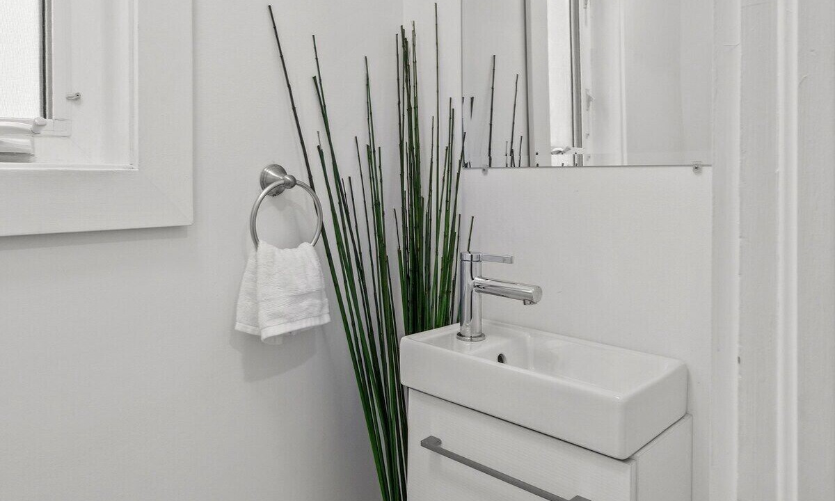 Photo of Others in St. John's