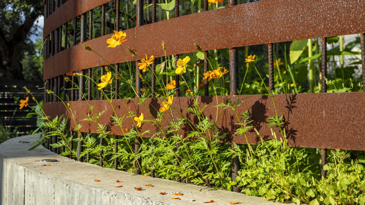 Photo of Outdoor in Galindo