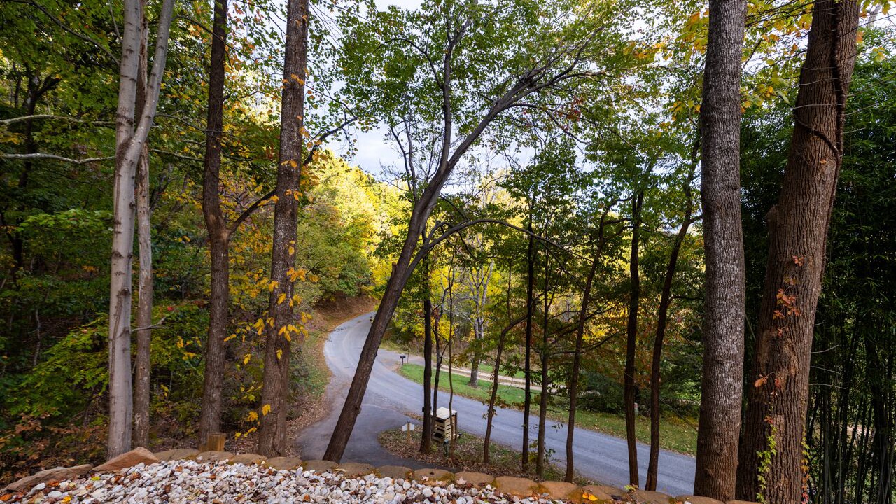 Photo of Outdoor in Nellysford