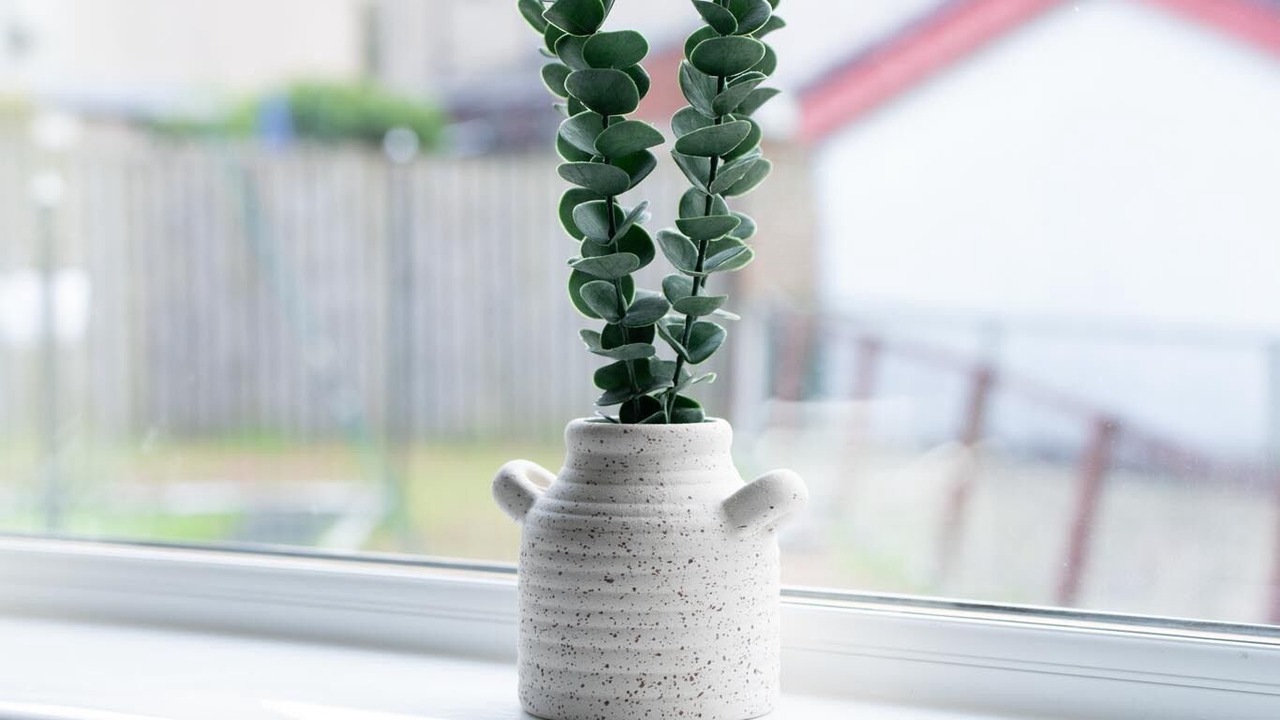 Photo of Others in Shotts