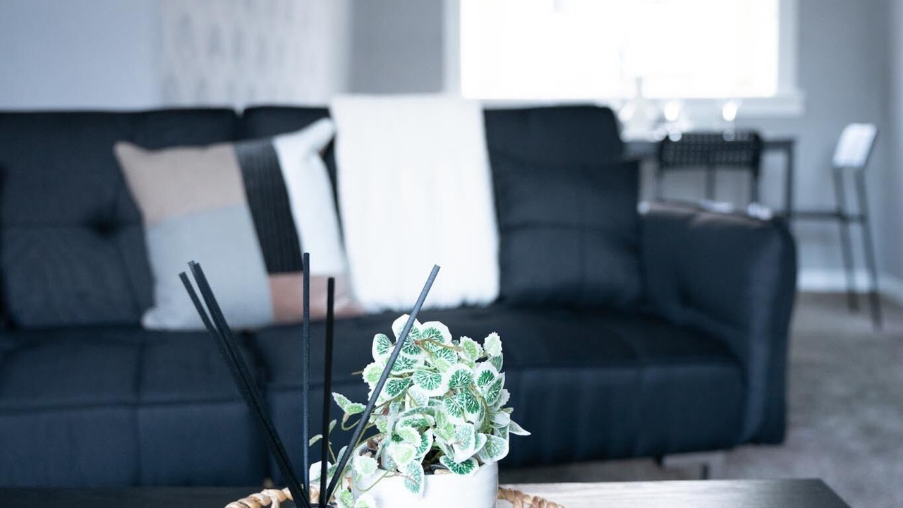 Photo of Others in Shotts