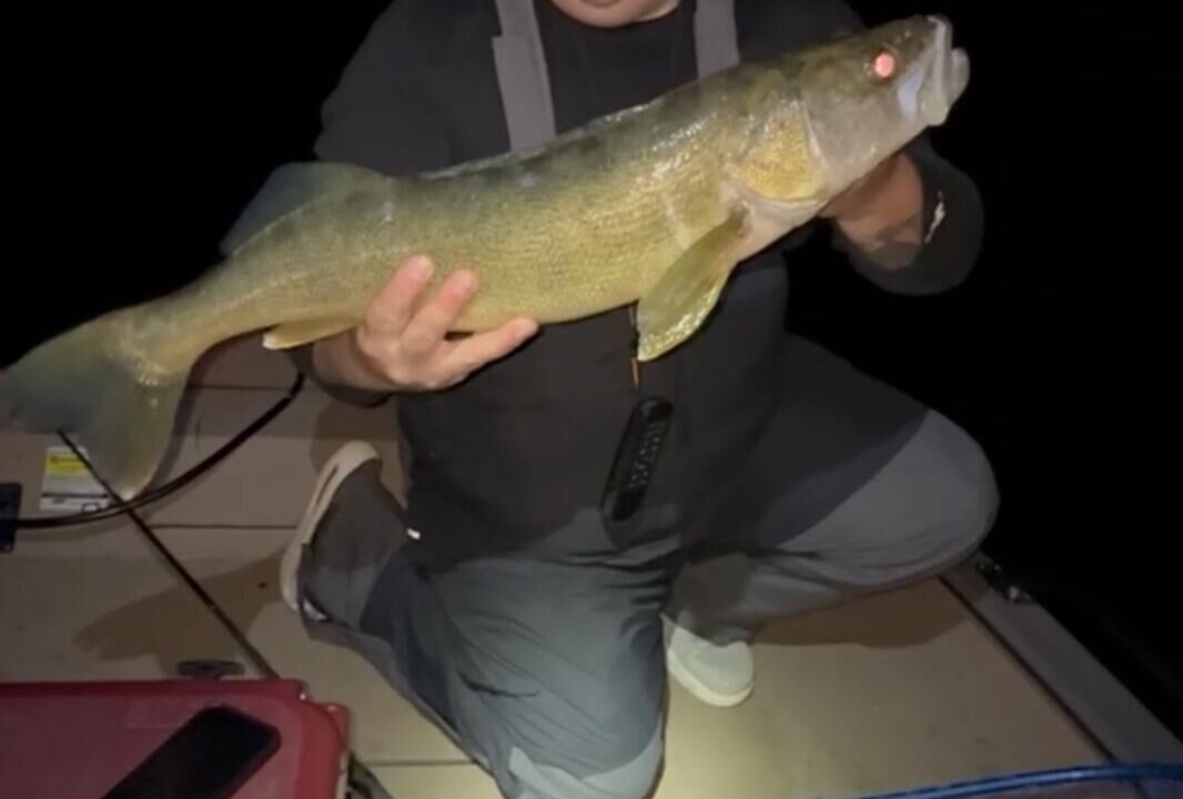 Photo of Others in Manistee