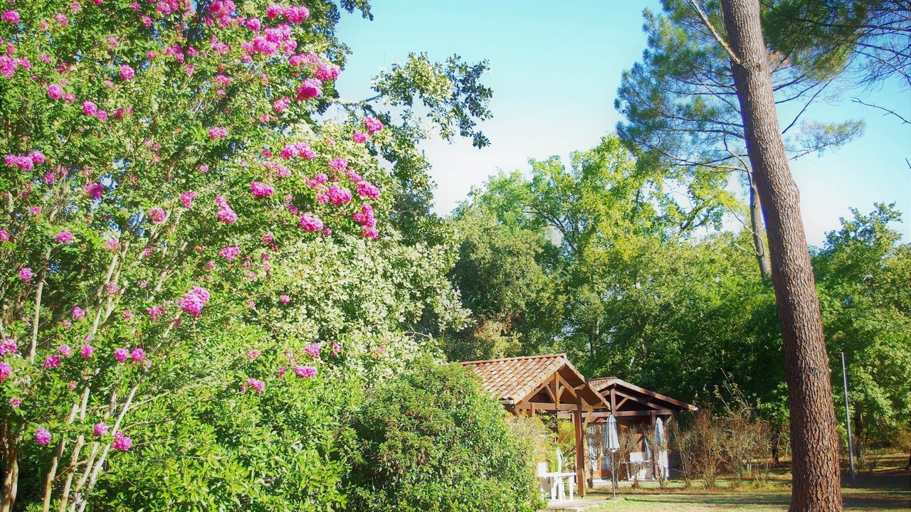 Photo of Others in Noaillan