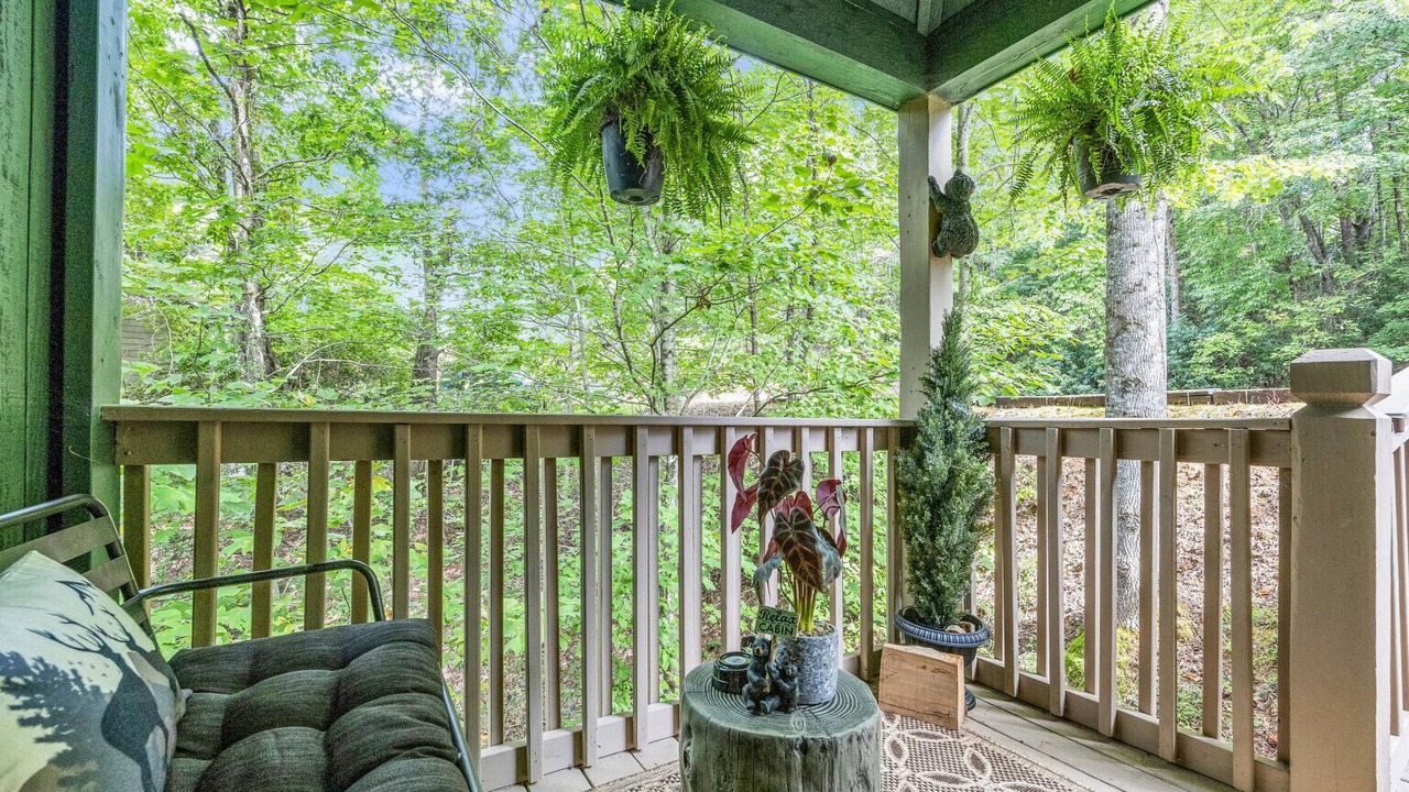 Photo of Outdoor in Helen