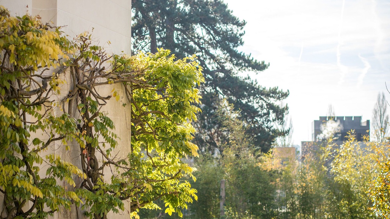 Photo of Outdoor in Rocquencourt