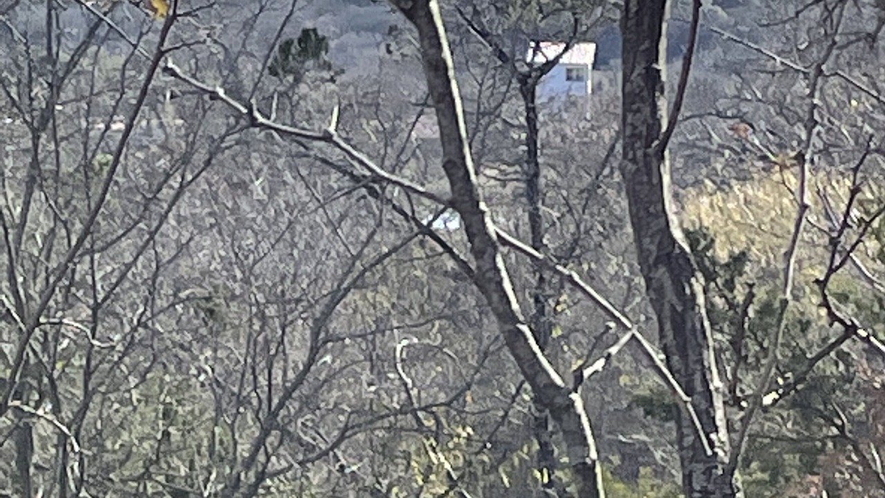 Photo of Outdoor in Mineral Wells