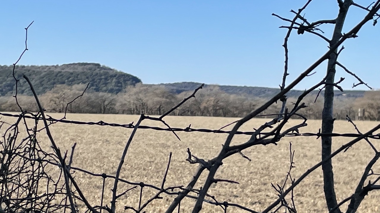 Photo of Others in Mineral Wells