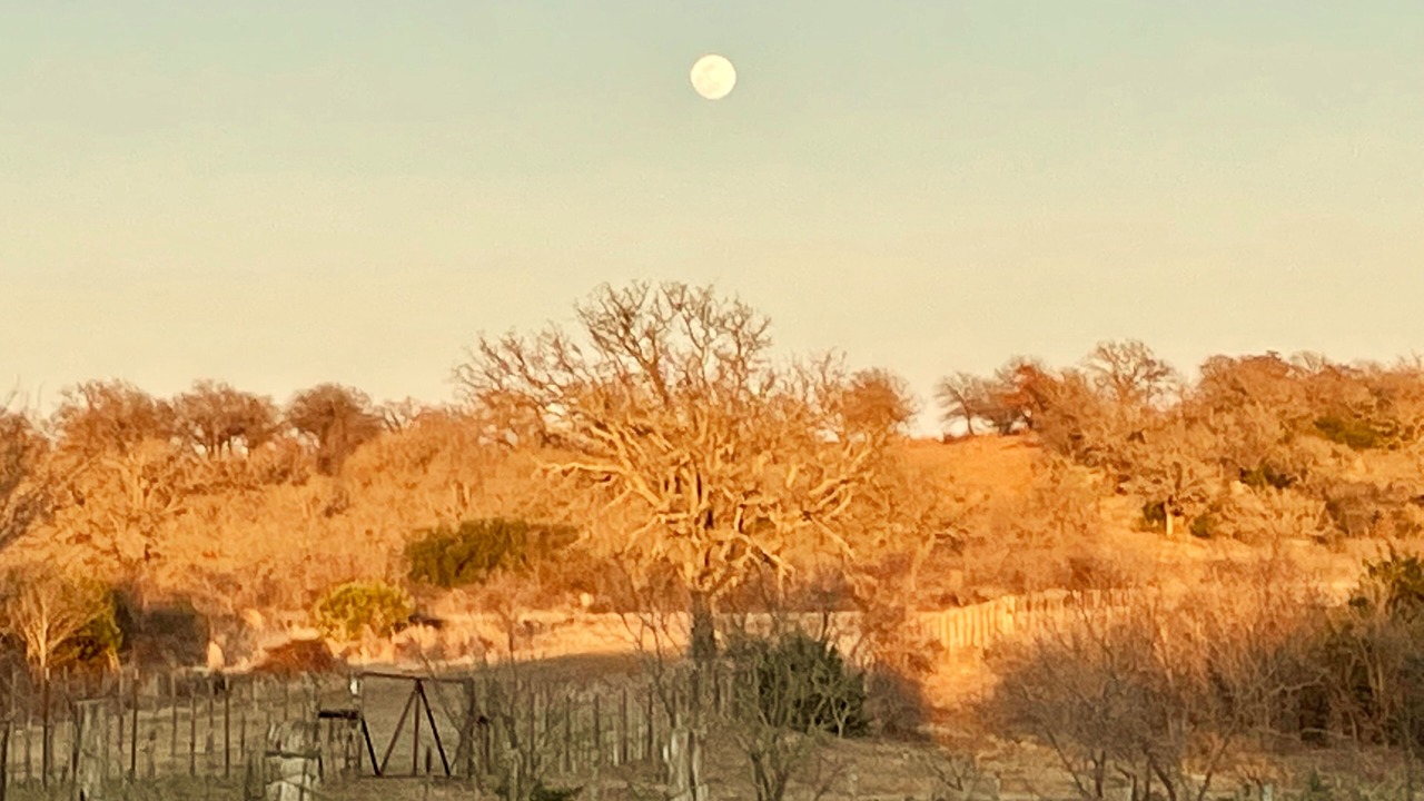 Photo of Outdoor in Mineral Wells