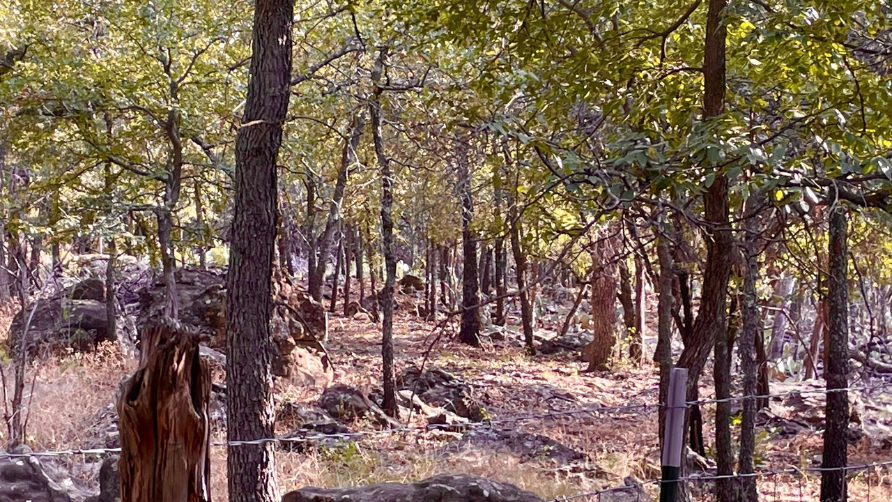 Photo of Others in Mineral Wells