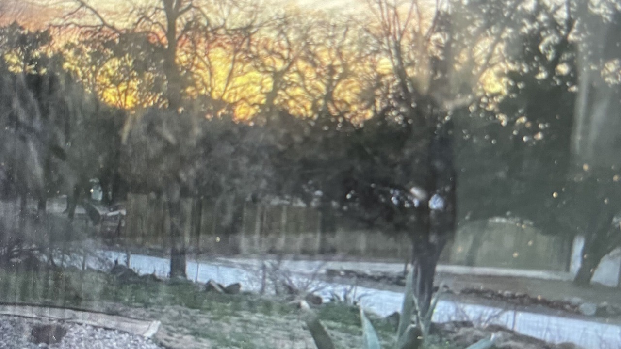Photo of Others in Mineral Wells