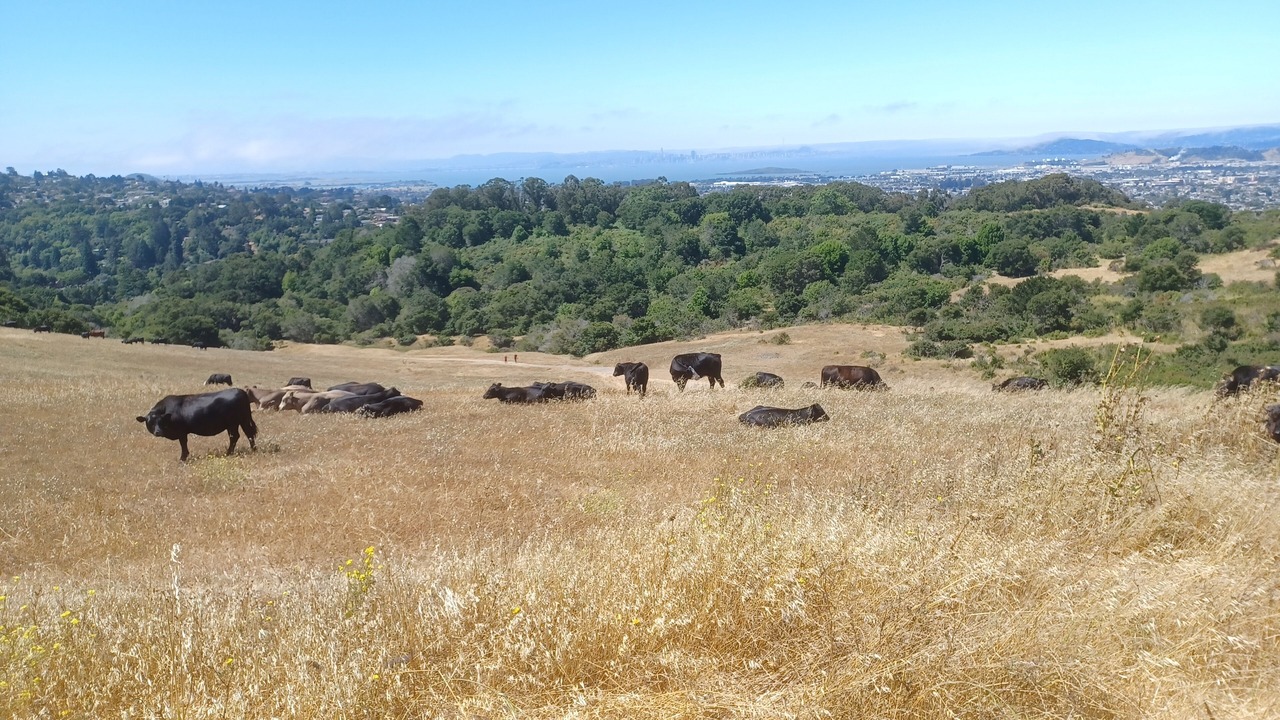 Photo of Outdoor in San Pablo