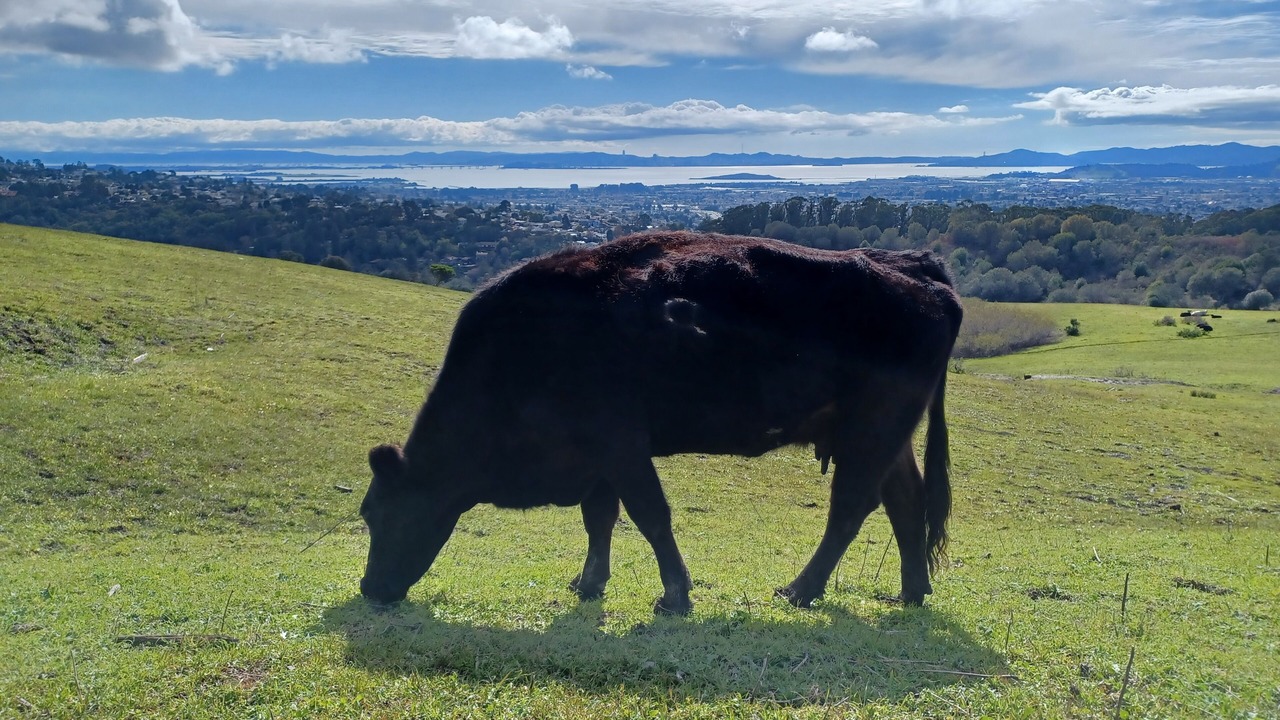 Photo of Outdoor in San Pablo