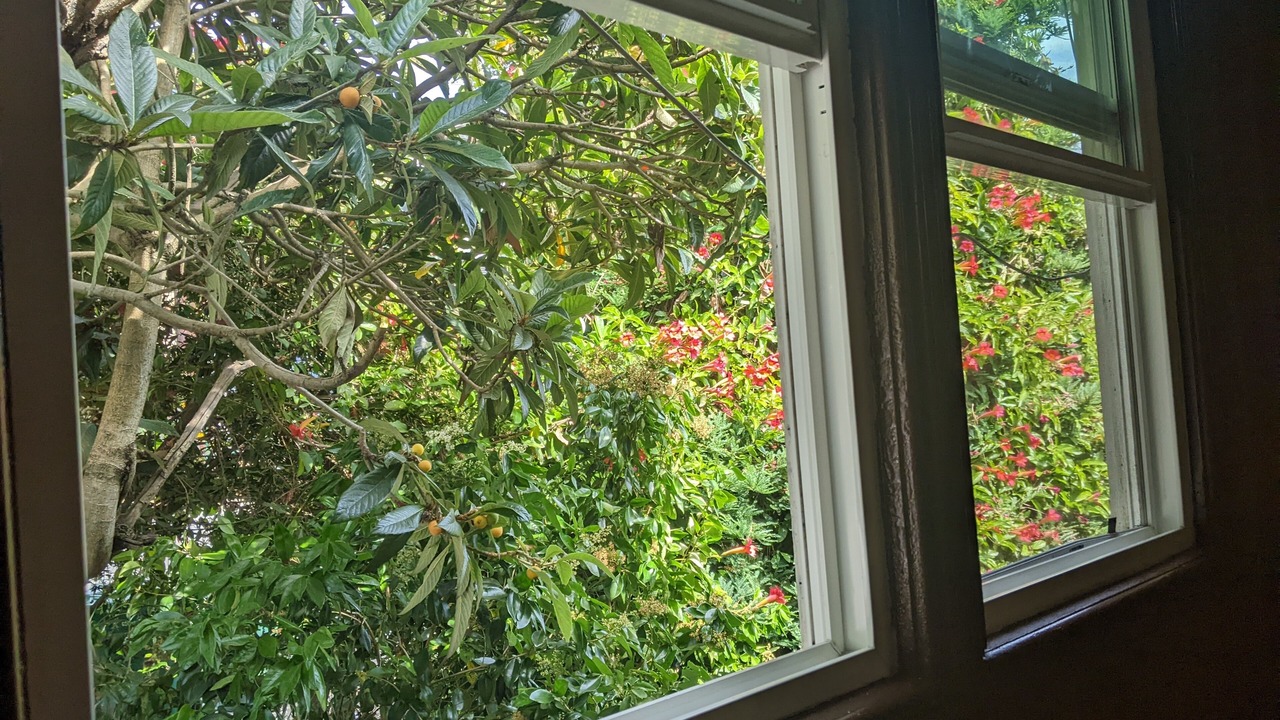 Photo of Others in San Pablo