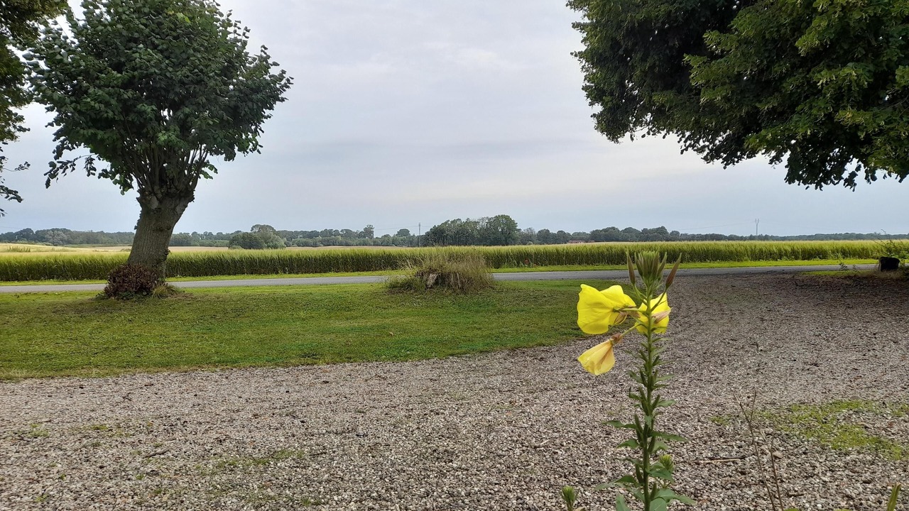 Photo of Outdoor in Bogense